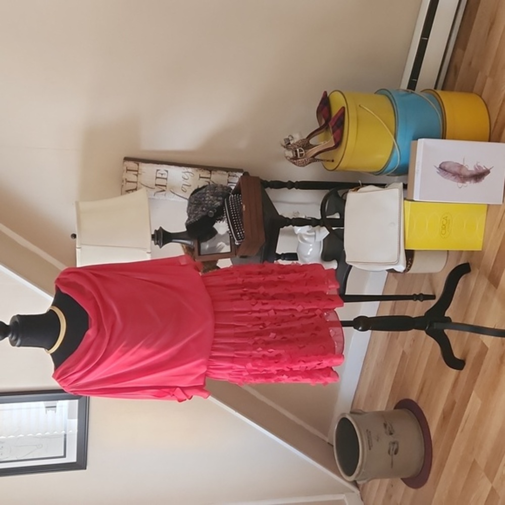 Fashion Icon Dress!